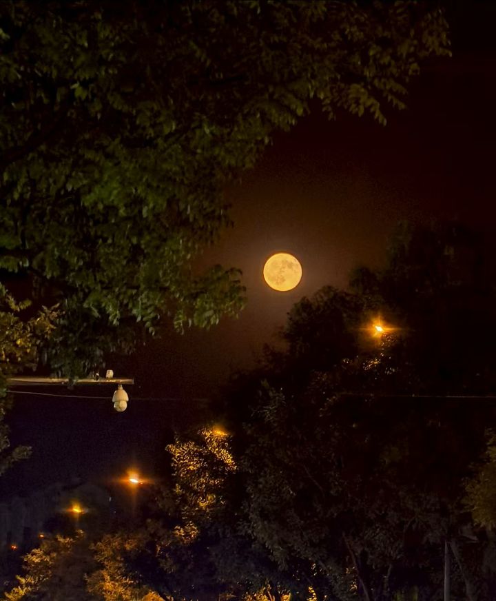 【我的御剑日记】夜游西湖赏明月截图