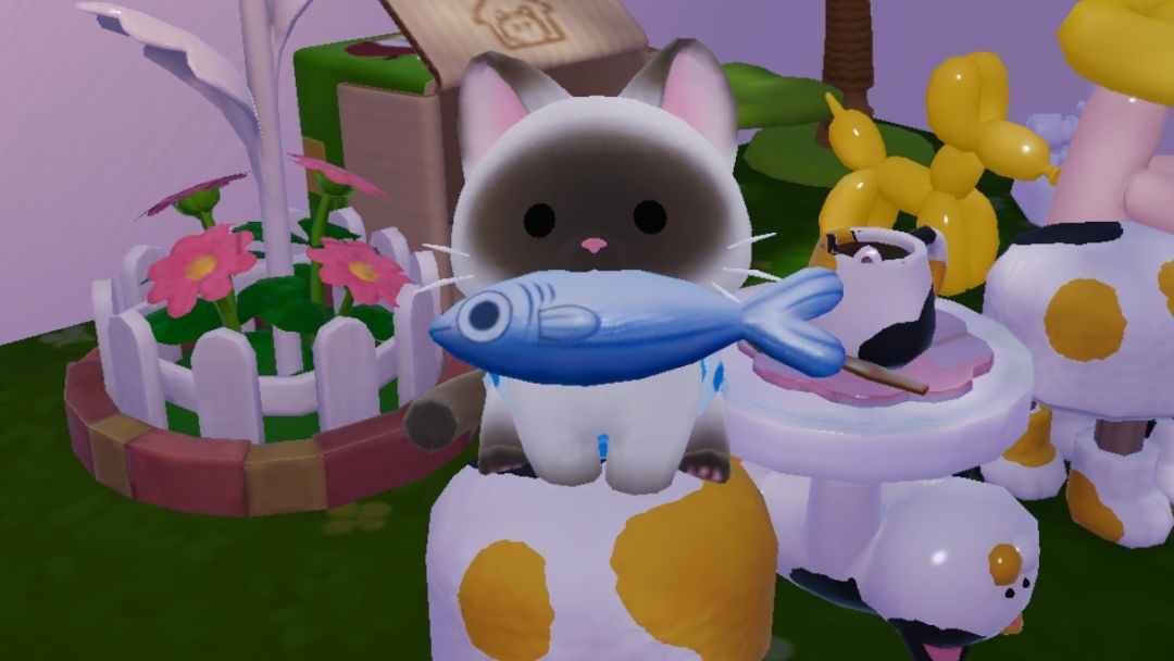 小猫进屋 5