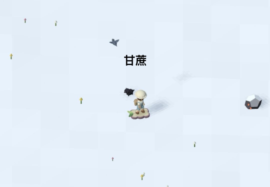 记录/去你的岛/目前拥有的滑板外观 3