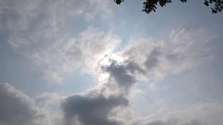 白发9.9真的假的截图