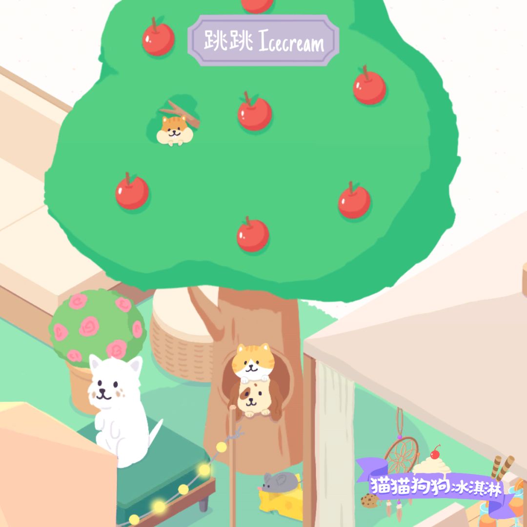 数数看几只猫猫 2