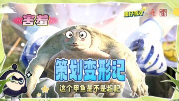 《策划变形记之助农篇》