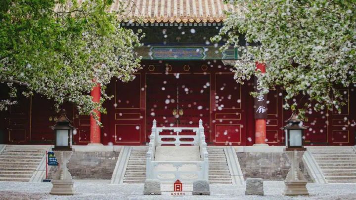 春游之北京故宫截图