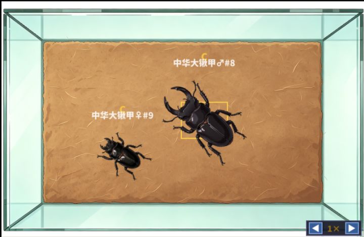 新品种上线和以前的问题大调整截图