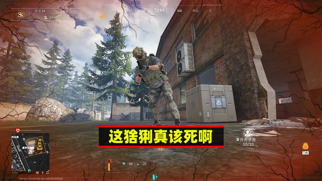 video-3905153