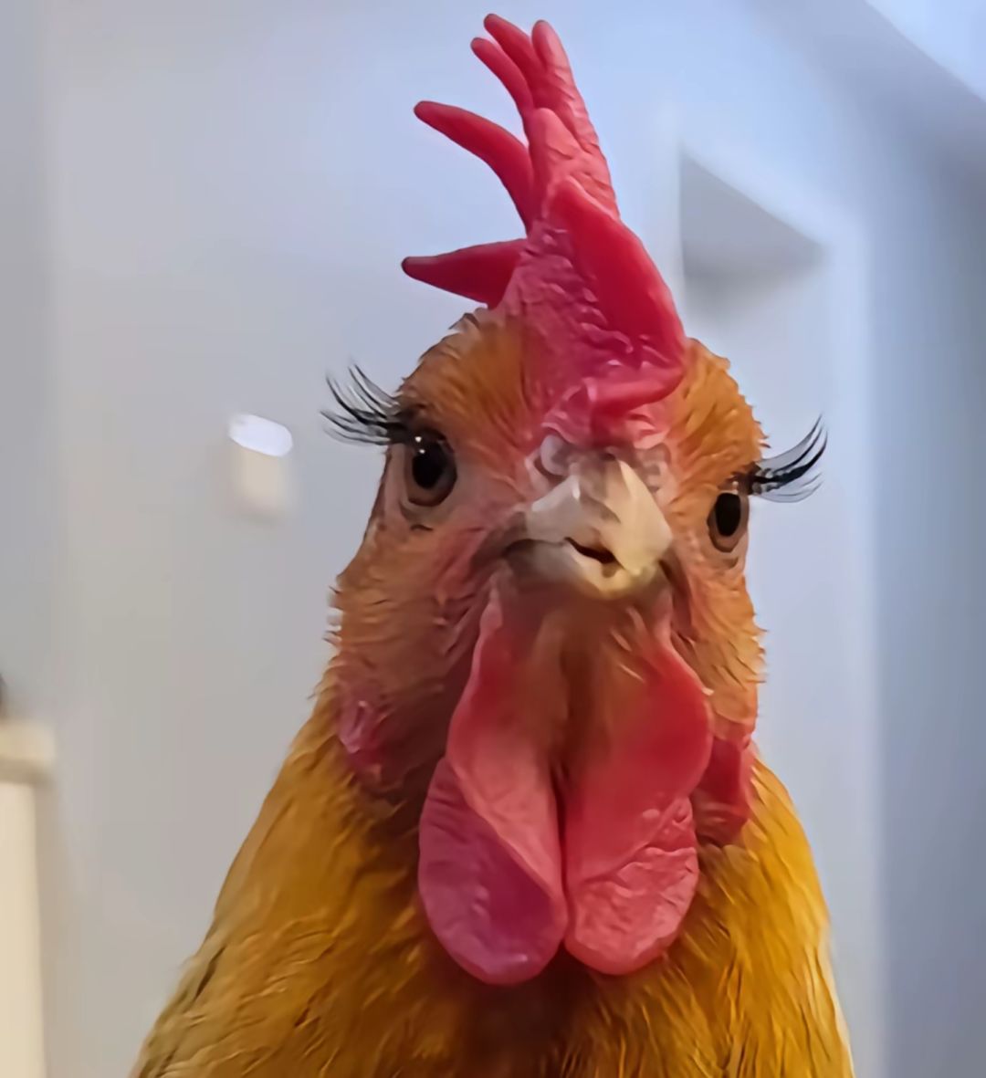 账号数据不同步 1