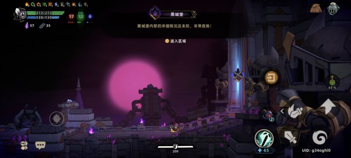 剑盾纯轮椅。截图