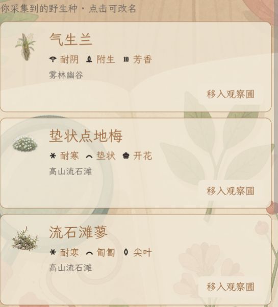 开发日志06 1
