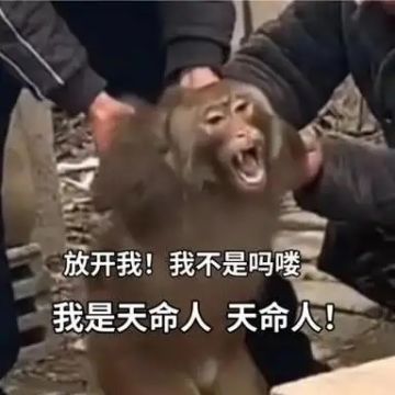 腾讯游戏不评价，但是对别家都是天使投资