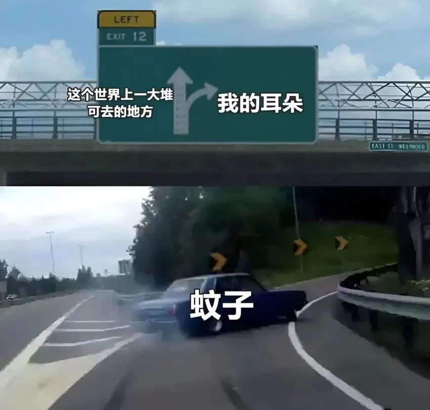 ✨今日份梗图分享第四十八期✨ 2
