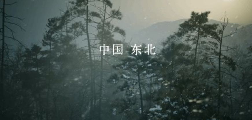 抗日FPS抵抗者首秀CJ!现场试玩定档 3