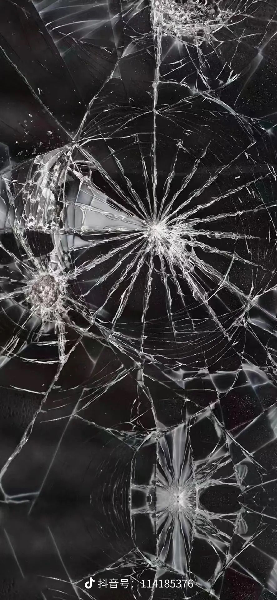 动态图片 18
