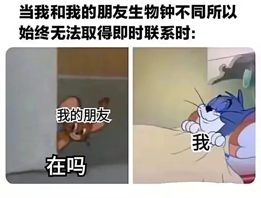 ✨今日份梗图分享第五十一期✨ 2