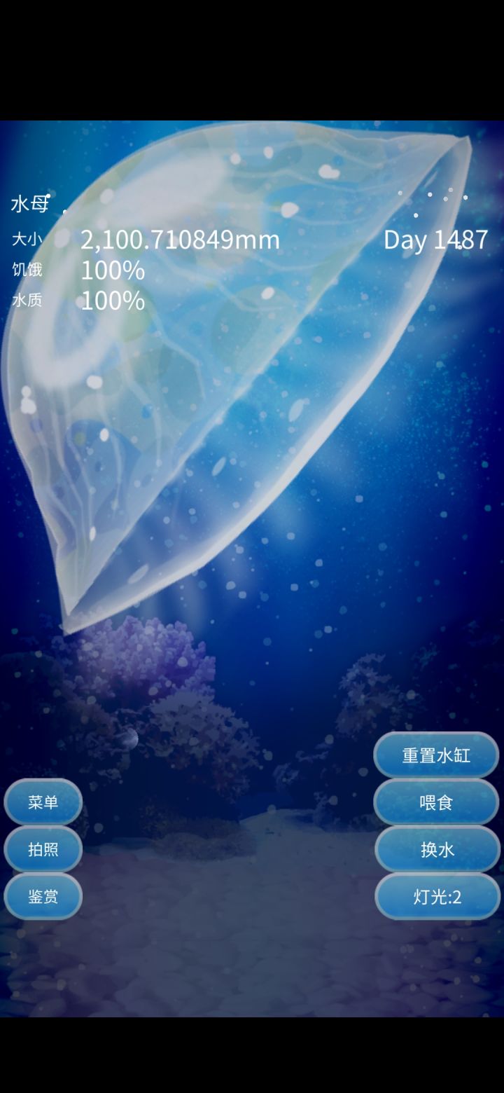 2100mm截图