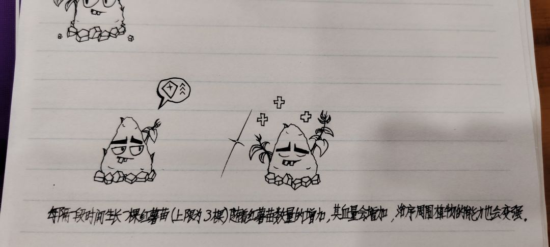 自制植物--再生红薯 2