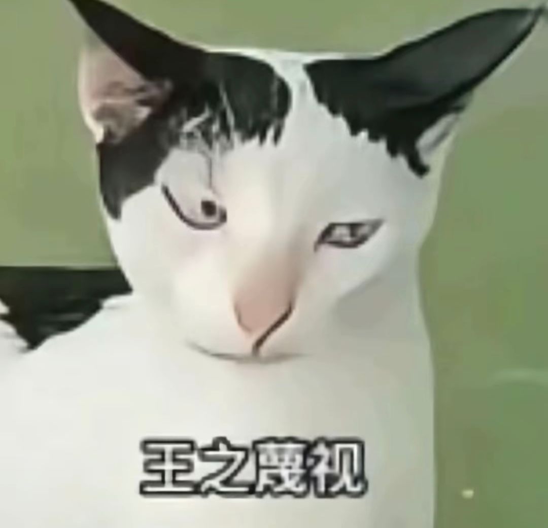 王之挑衅 2