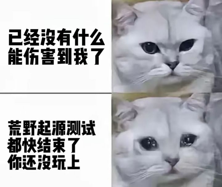 期待一波森林的场景,希望能出一些一测没有的独属玛卡,还原出来真实古树森林的感觉截图