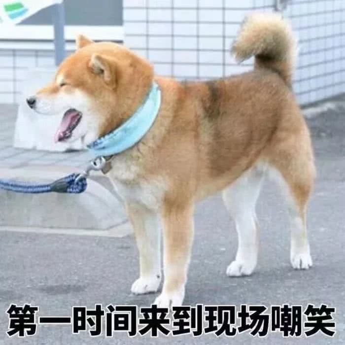 还有人玩能提建议??截图