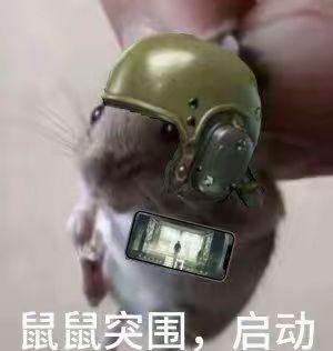 为凌攒彩礼的第二十九天 3