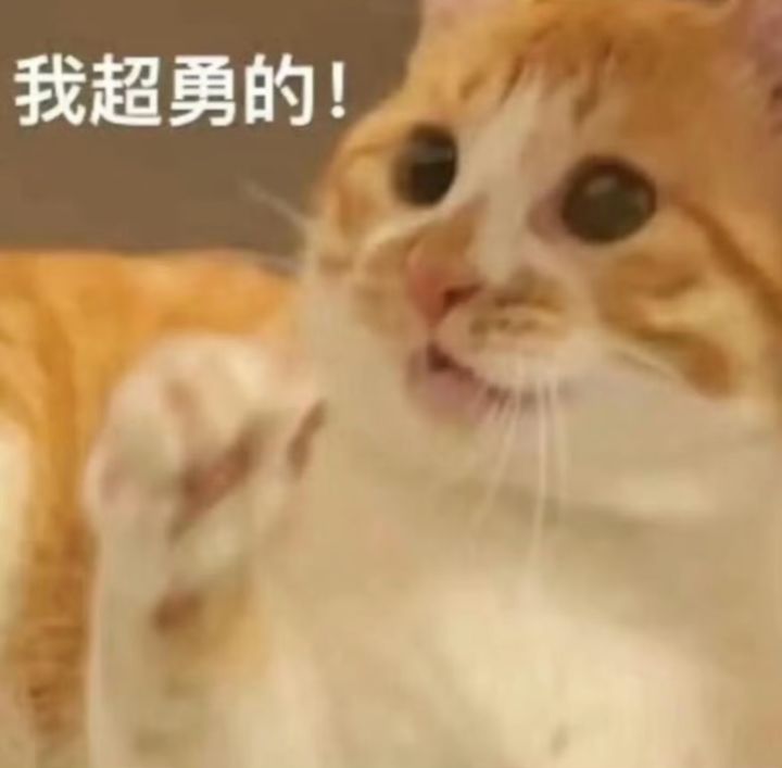 步惊云有必要买吗?搭配的新剑法强度如何截图