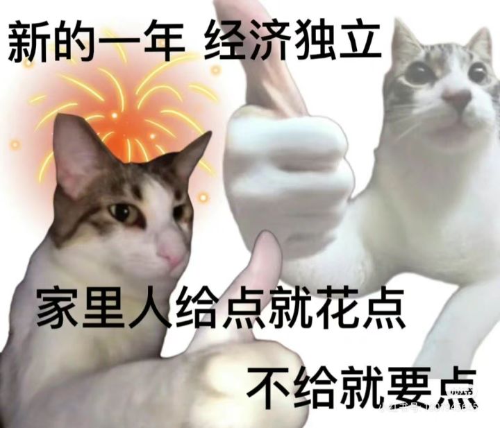 再见了弹宝🥰截图