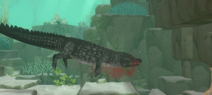 第二天下水就找🐊干架截图