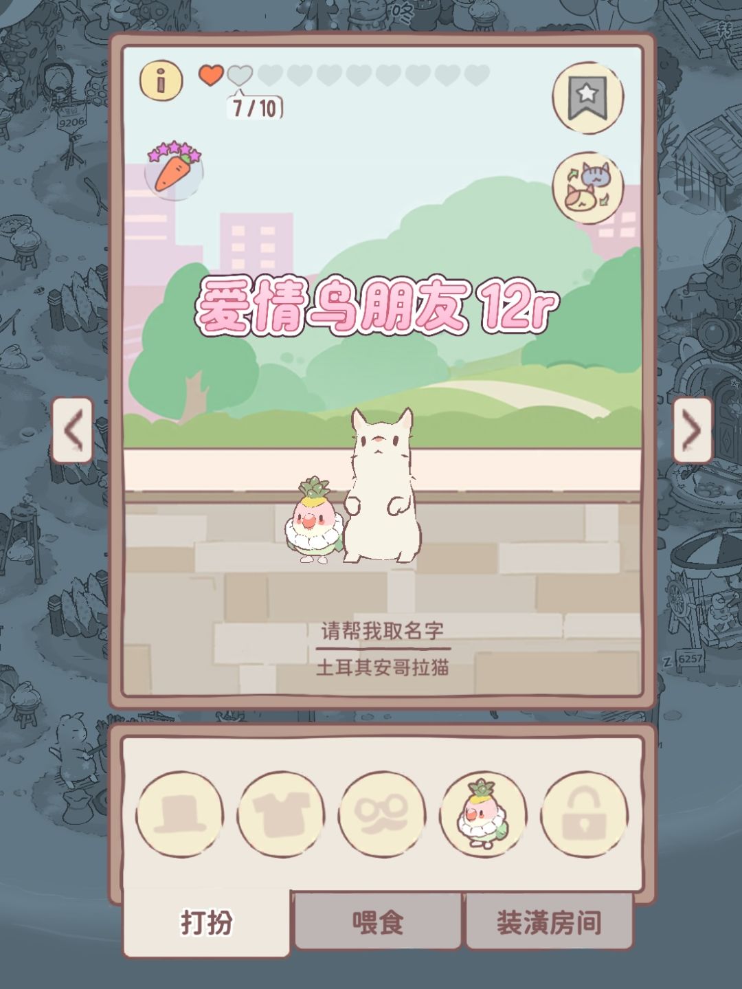 【返场礼包】猫咪和汤国服2.19返场物品一览 6