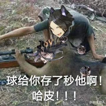 全输出镜灵培养及灵器佩戴建议(直伤类)