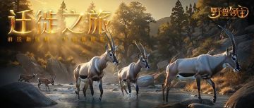 全新的迁徙之旅即将开启~本次是S128-132