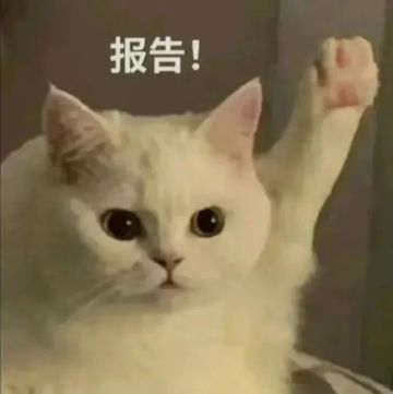 【五一惊喜签到】五月签到活动即将开启！