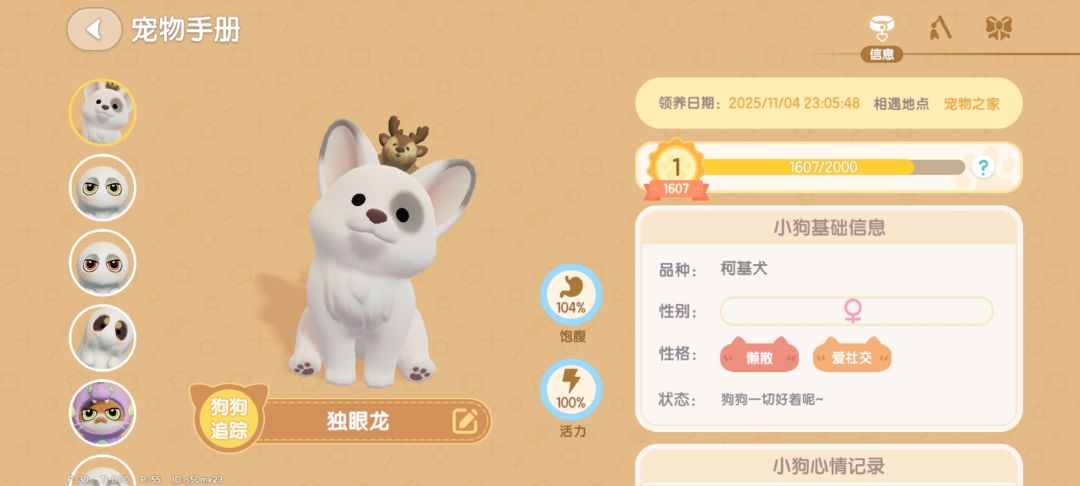 我家的三只小狗狗,超可爱 3