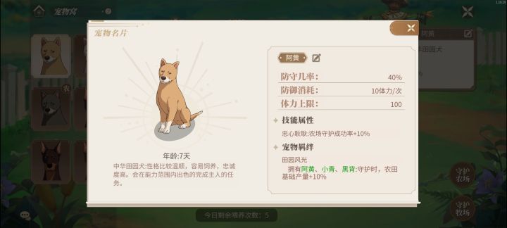 宠物狗加成截图