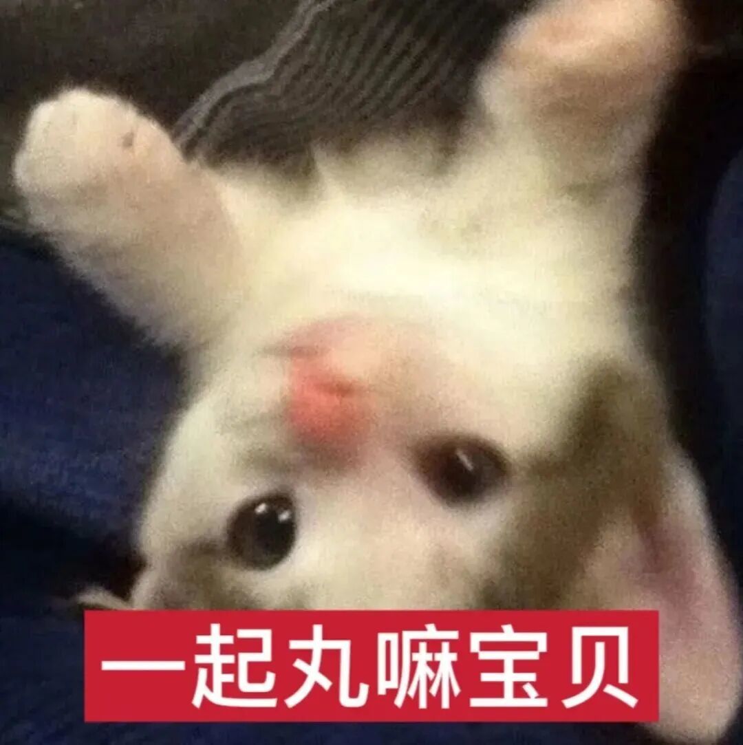 有没有大佬带带龙炎,只能打第一关😭 2