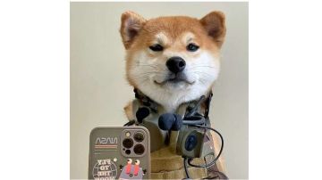 关于新手如何在混沌里刷分/升级