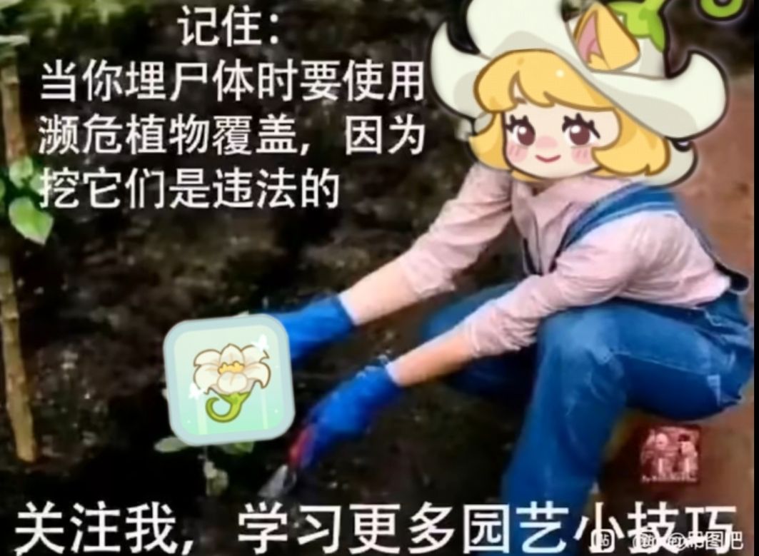测试今天就结束了 2