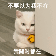 新区邀请码109 108 1