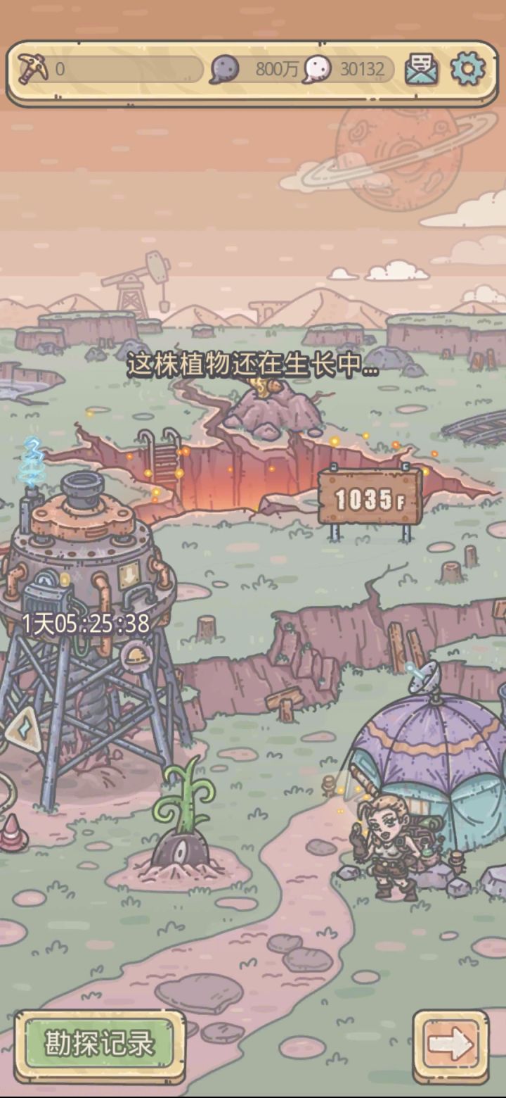 地缝这个植物要长多久?有什么条件吗?截图