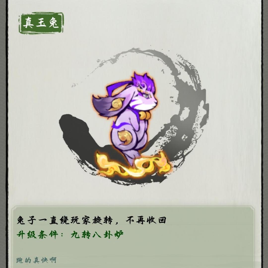 专属武器全图鉴 4