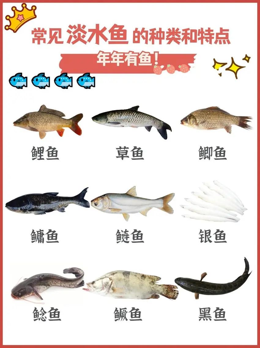 🌟青年大学习|淡水鱼的种类&吃法🌟 1
