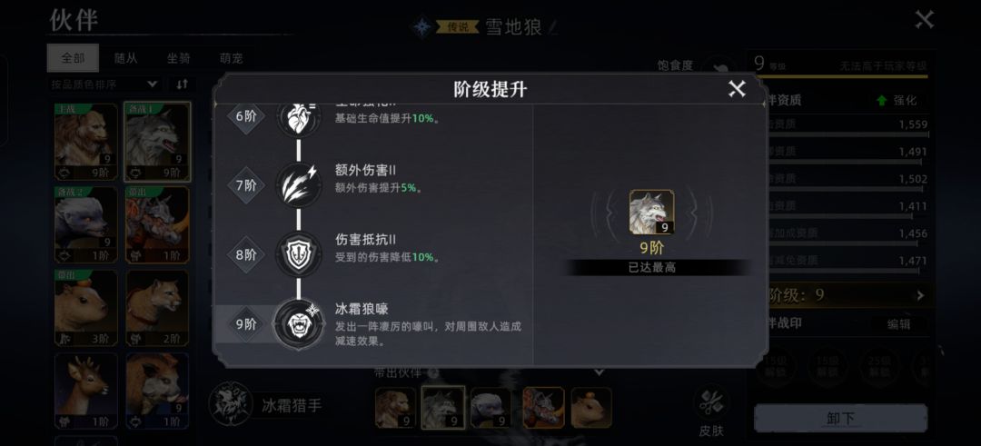 今日收获 2