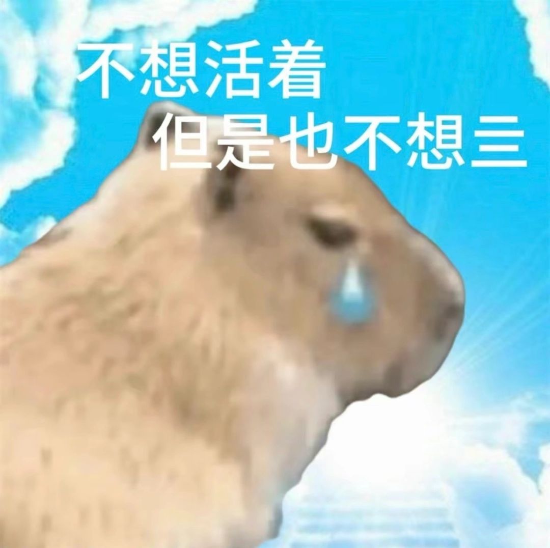 那个SP的 1