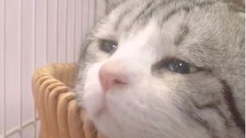 霜月速推恒山（期待讨论和优化）