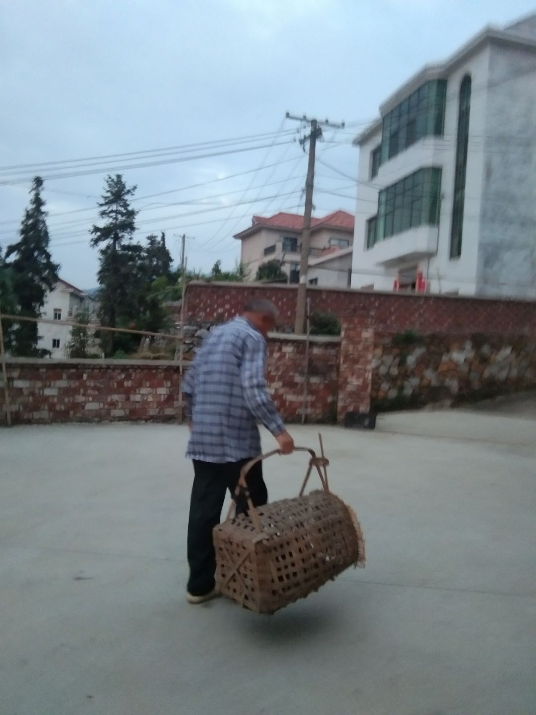 动态图片 6