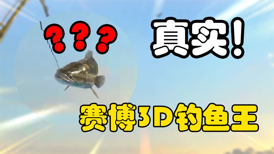 video-4040622