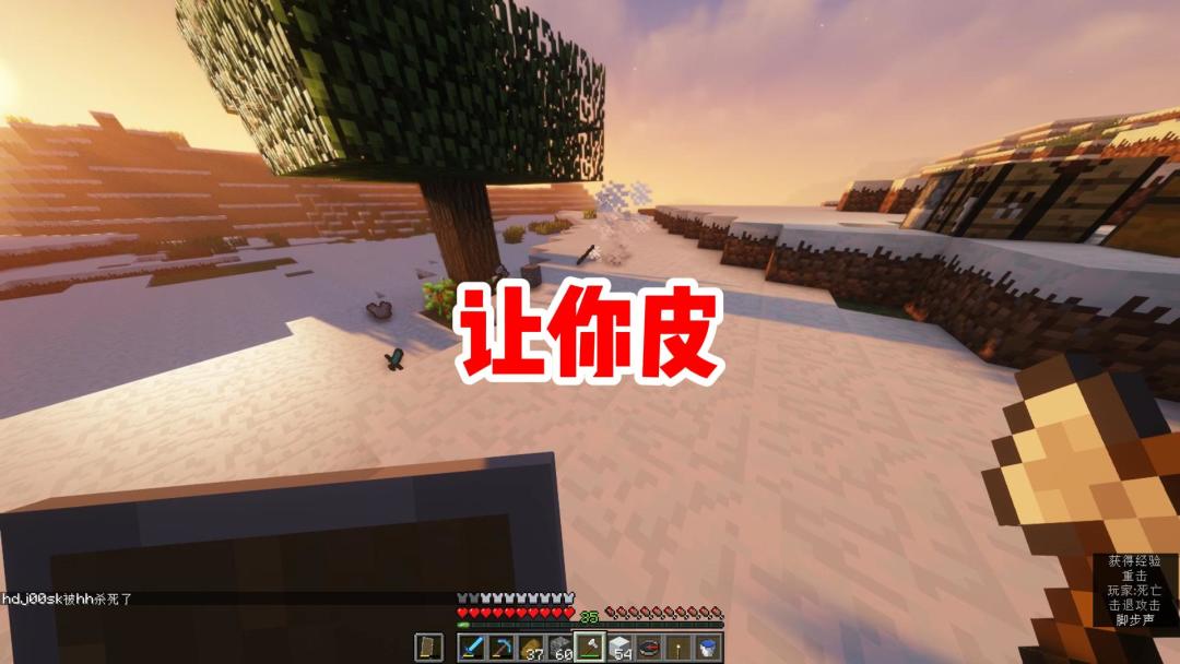video-3835325