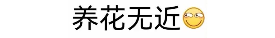 这是篇战队收人贴 3