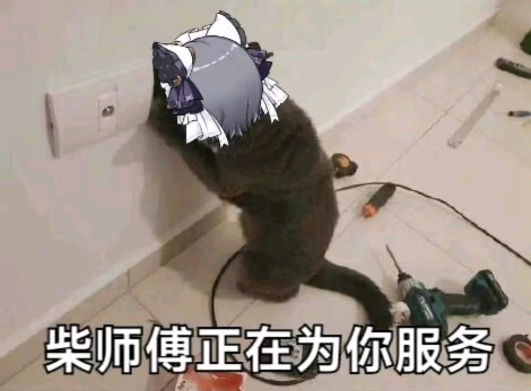 柴郡图 5