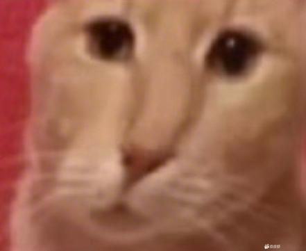 。。 1