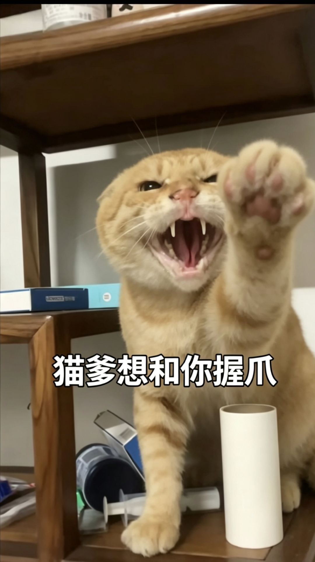 你自己笑了吗，连古神都没打过。 6