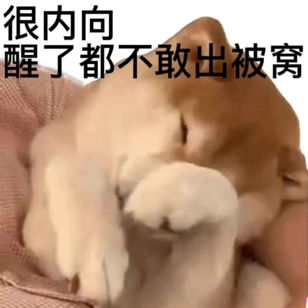 希望别搞什么进化宠 1